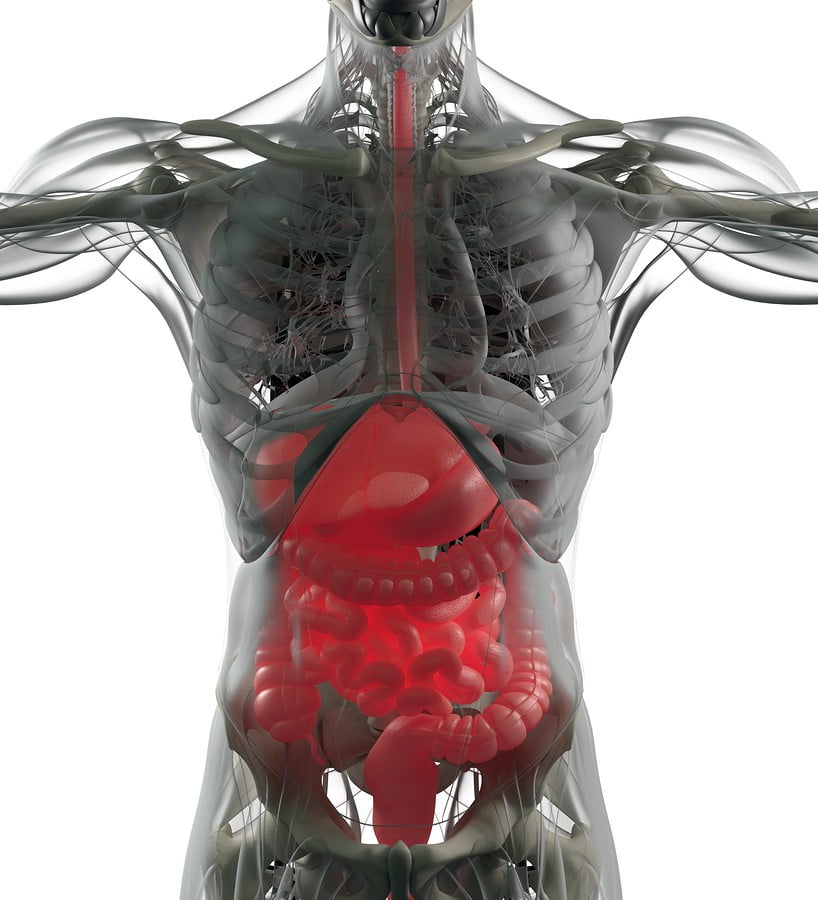 microbiomebody